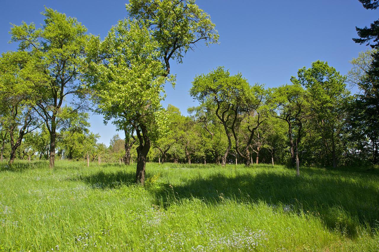 Zamek Ratmerice - Hotel & Resort מראה חיצוני תמונה